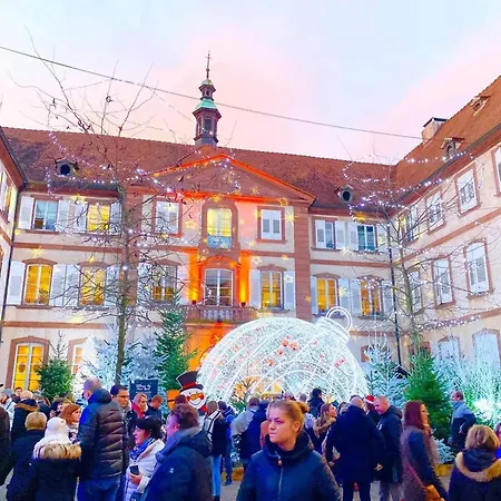 Apartamento D'une Chambre Avec Terrasse Et Wifi A Haguenau