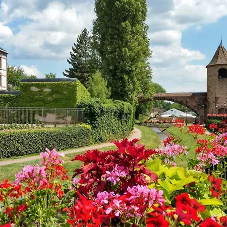 D'une Chambre Avec Terrasse Et Wifi A Haguenau